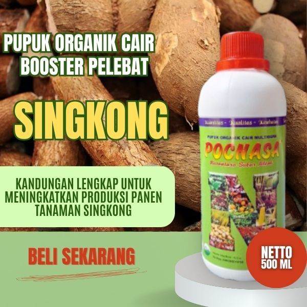 Pupuk Singkong, Pupuk Singkong Booster, Pupuk Singkong Bagus, Pupuk Singkong Cair, Cepat Berbuah