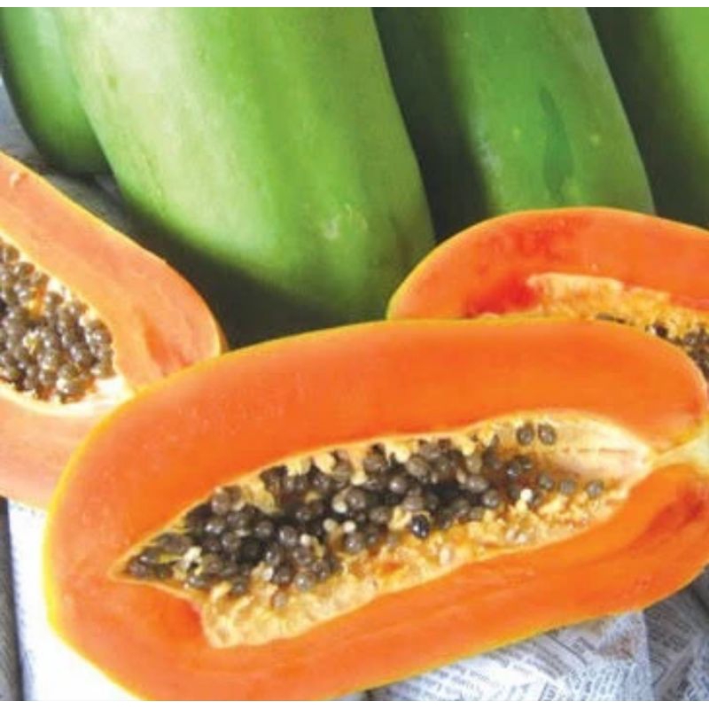 Bibit Benih Unggul Pepaya California Kwalitas Terbaik (30 Butir)
