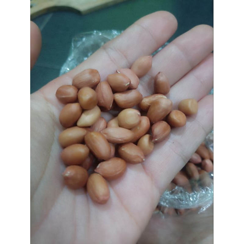 

KACANG TANAH MENTAH 1 KG