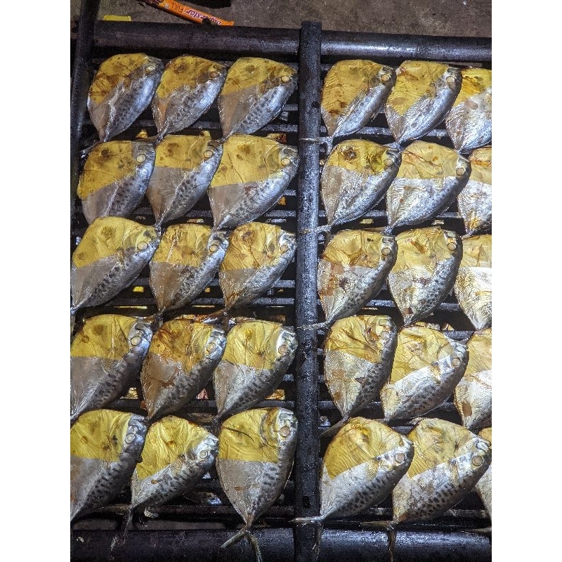 

IKAN ASAP KHAS KOTA PEKALONGAN (BAGONG/SEMAR/KAYUL) PERBIJI