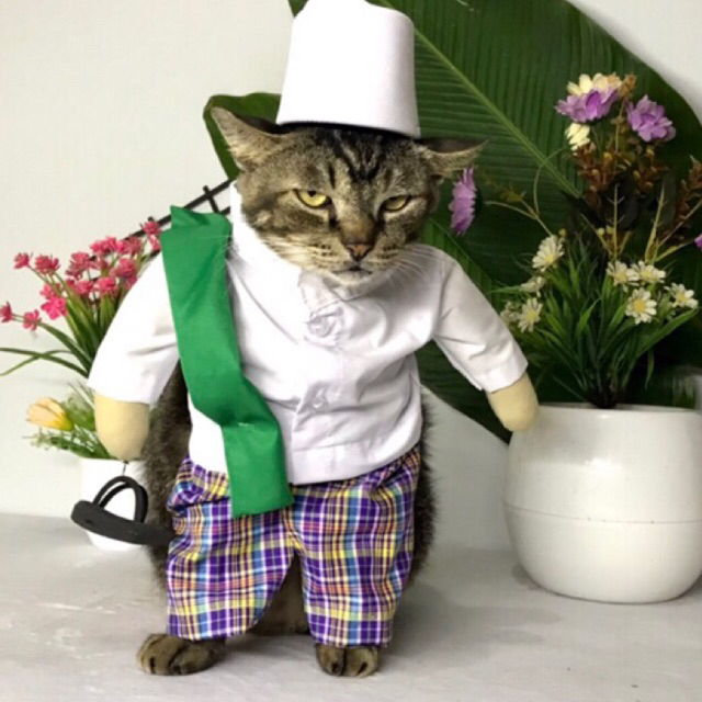 Giltbite_ Baju Kucing Viral Kostum Karakter Pak Haji + Sandal