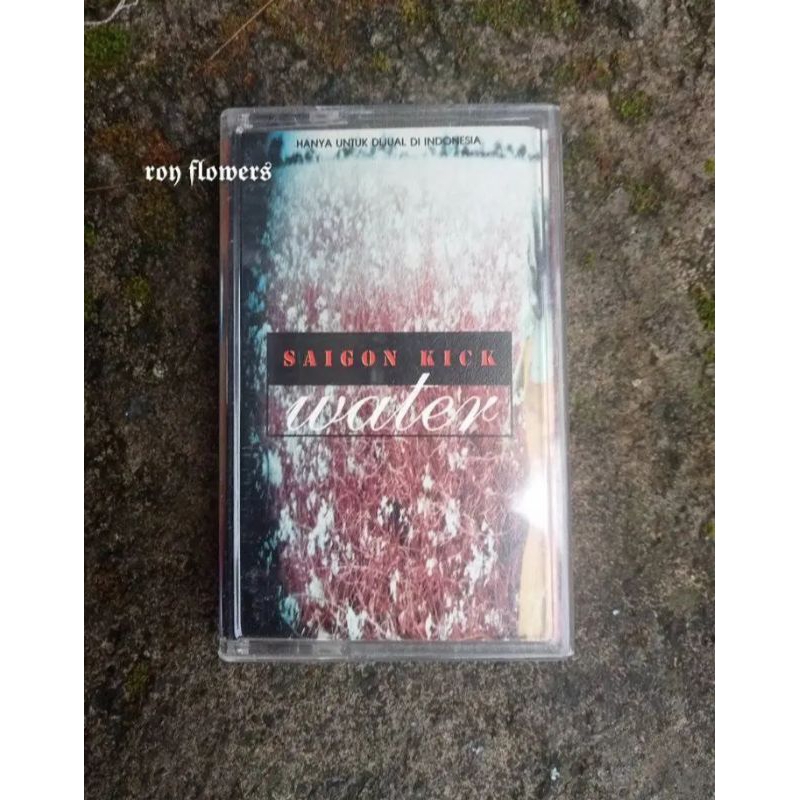 kaset Saigon kick