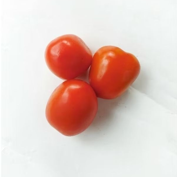 

buah tomat apel segar