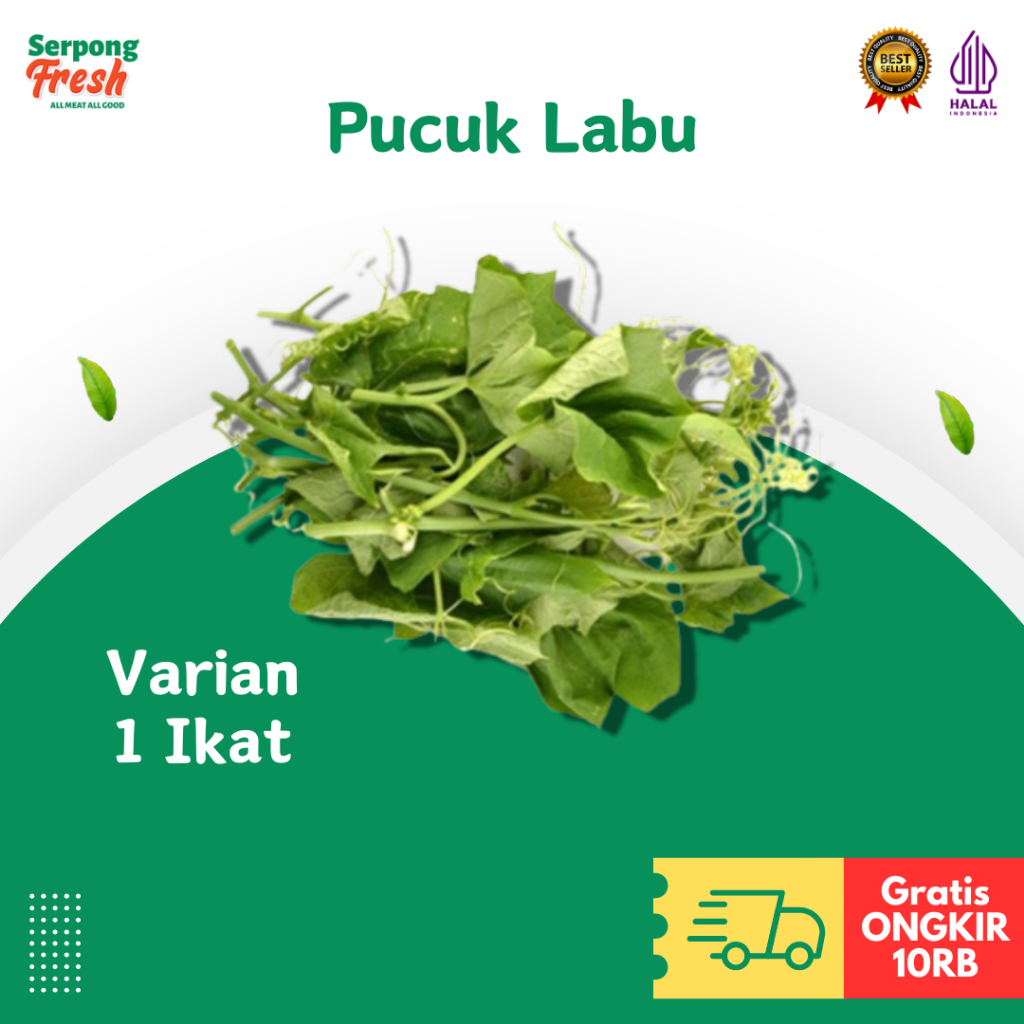 

Pucuk Labu Daun Labu Segar 1 ikat Sayuran FRESH