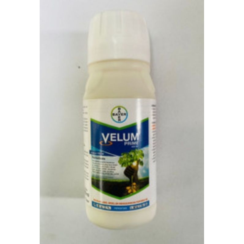 velum prime 100ml