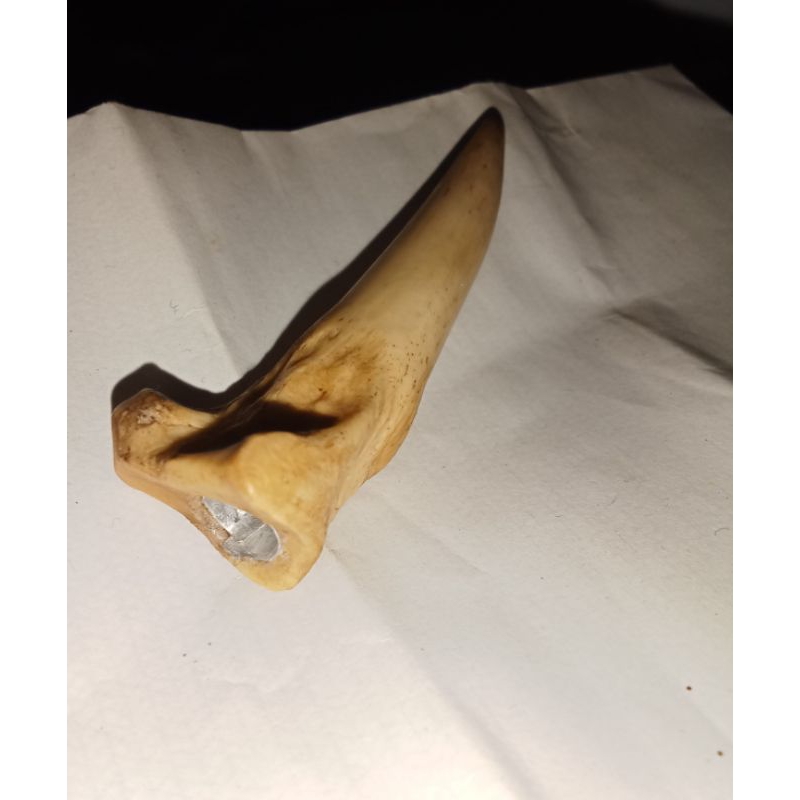 pipa rokok/serotong tulang haremaungg Sumatera ngorak