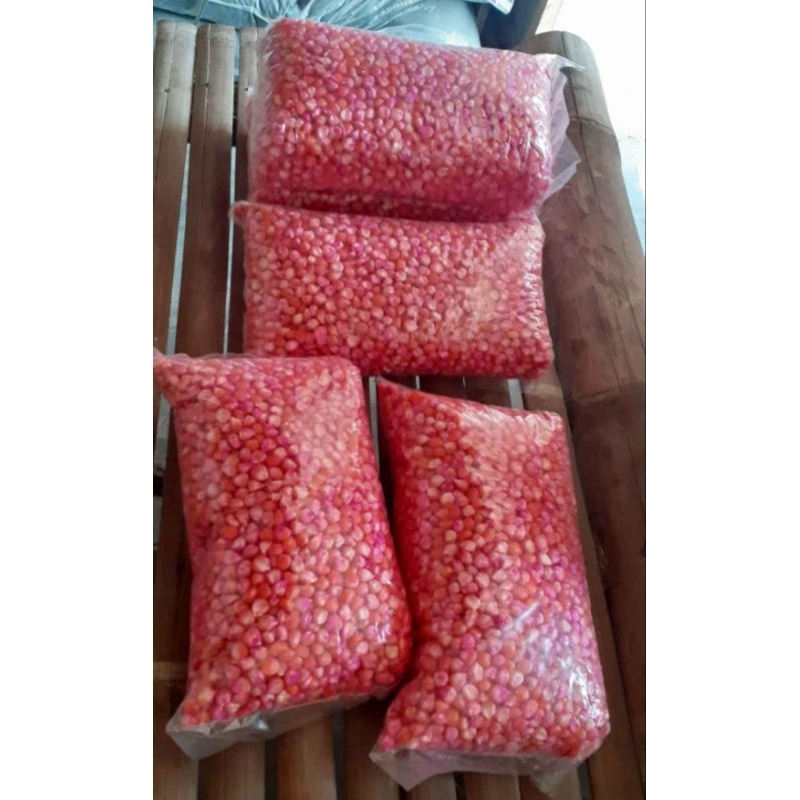 Benih Jagung Hibrida F1