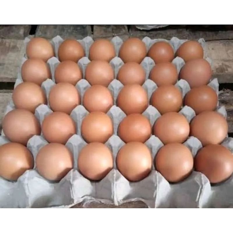 

Telur ayam negri 1 tray isi 30butir