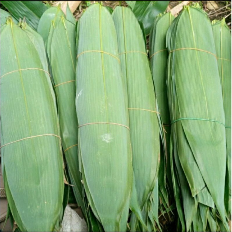 

DAUN BAMBU SEGAR JUMBO PER LEMBAR