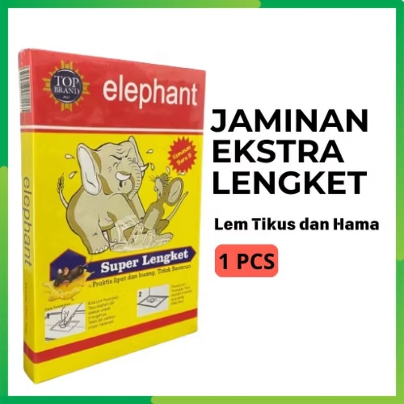 Lem Tikus Super Lengket | Lem Tikus Elephand |Lem Tikus Papan