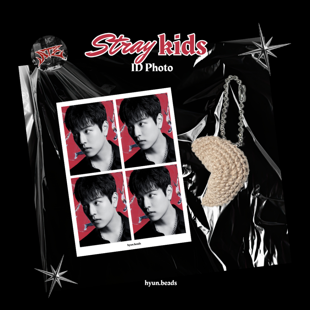 Stray Kids ID Photo Set Dominate