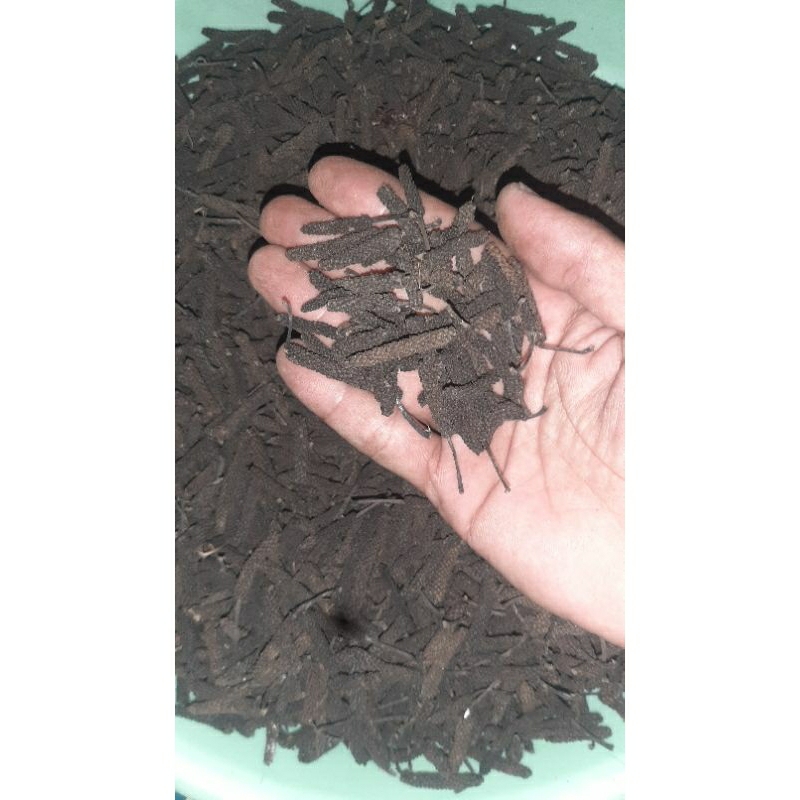 

cabe jamu kualitas medium, bersih tanpa debu.