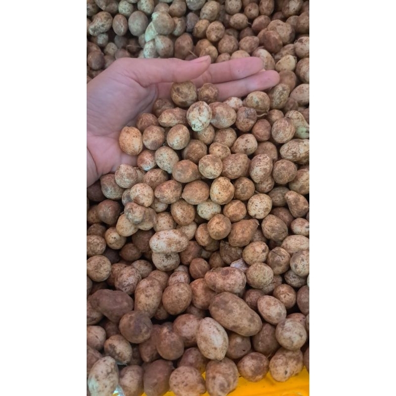 

KACANG TANAH BOGOR PREMIUM PULEN 1 KG