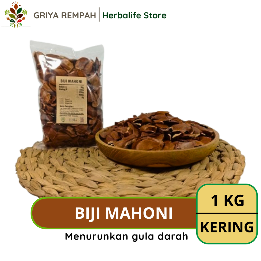 

BIJI MAHONI KERING 1 KG Maoni Rempah Herbal Simplisia Alami untuk Kesehatan & Ramuan Jamu Tradisional Swietenia mahagoni