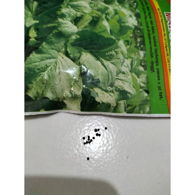 50BIJI BIBIT/BENIH SAWI PAHIT / SAWI MAJAPAHIT  CAP PANAH MERAH