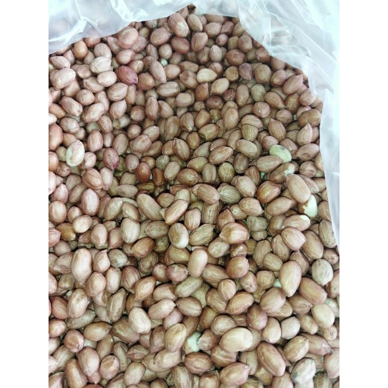 

Kacang ose kacang tanah berat 1kg lokal