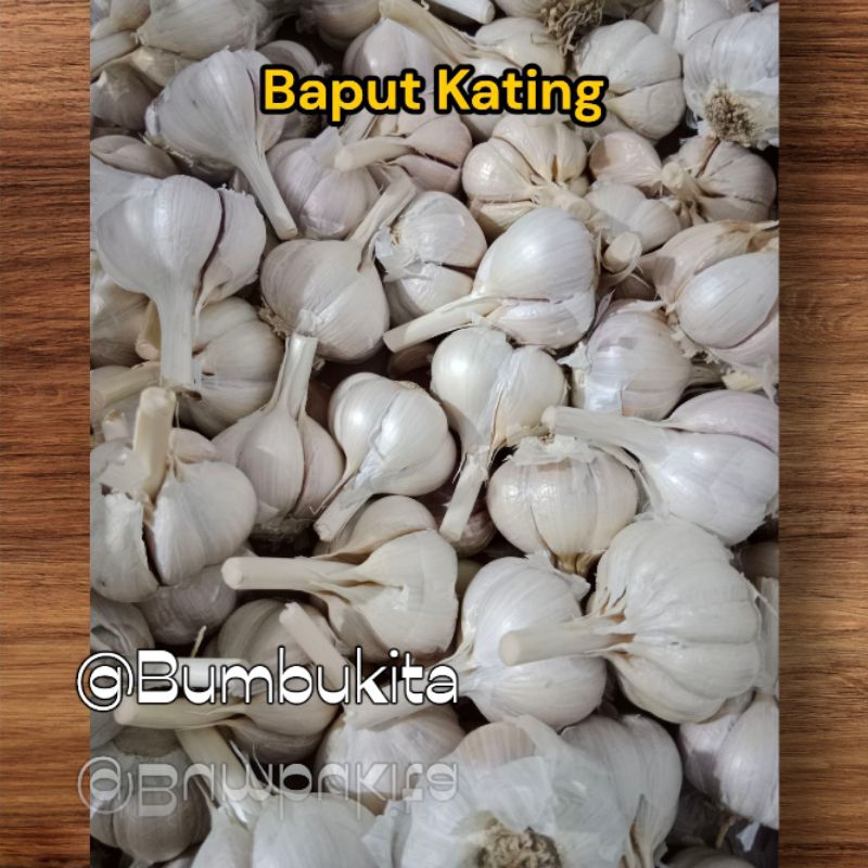 

Bawang Putih Kating | 1 Kg, 500 gr, 250 gr | Baput Kupas bersih