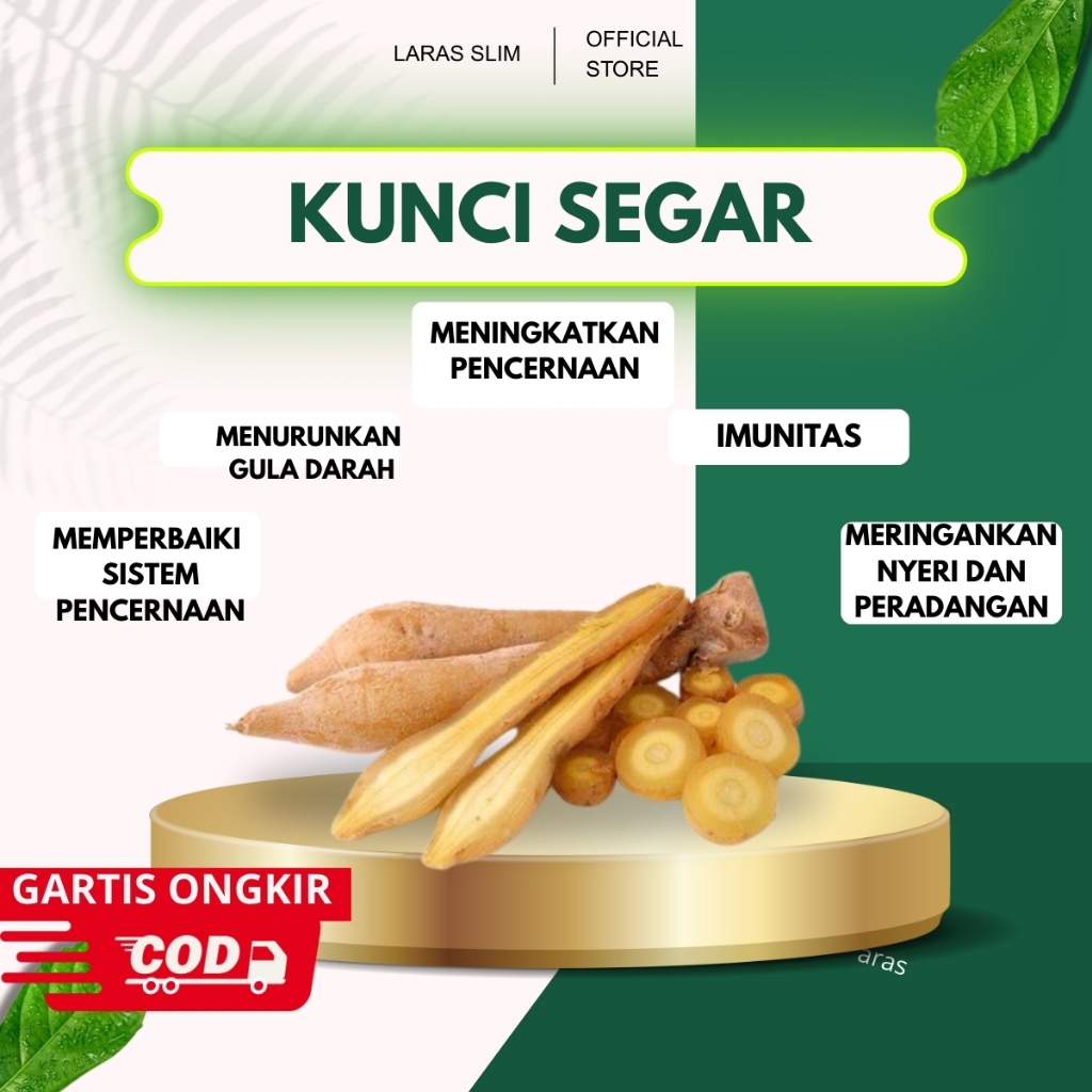 

Kunci Rempah Kualitas Terbaik 1 kg PREMIUM Temu Kunci Segar Fresh | Rempah Rempah Kunci | Kunci Pepet | Bumbu sayur benging rempah kunci
