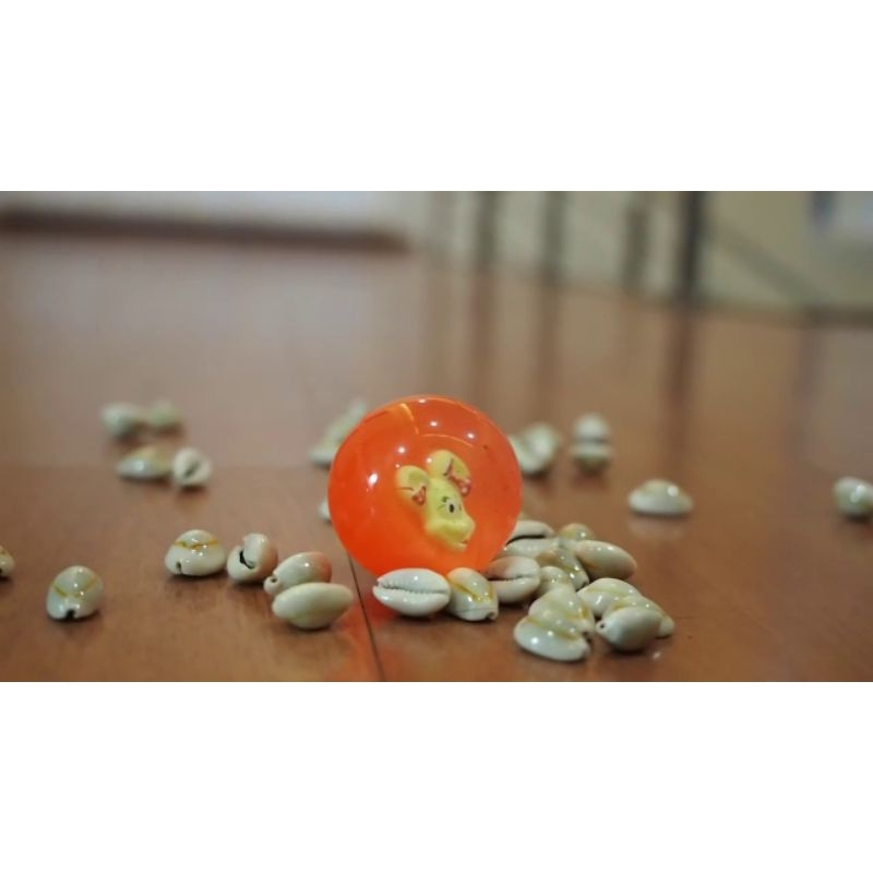 Bekel set kerang putih mainan tradisional jaman dulu