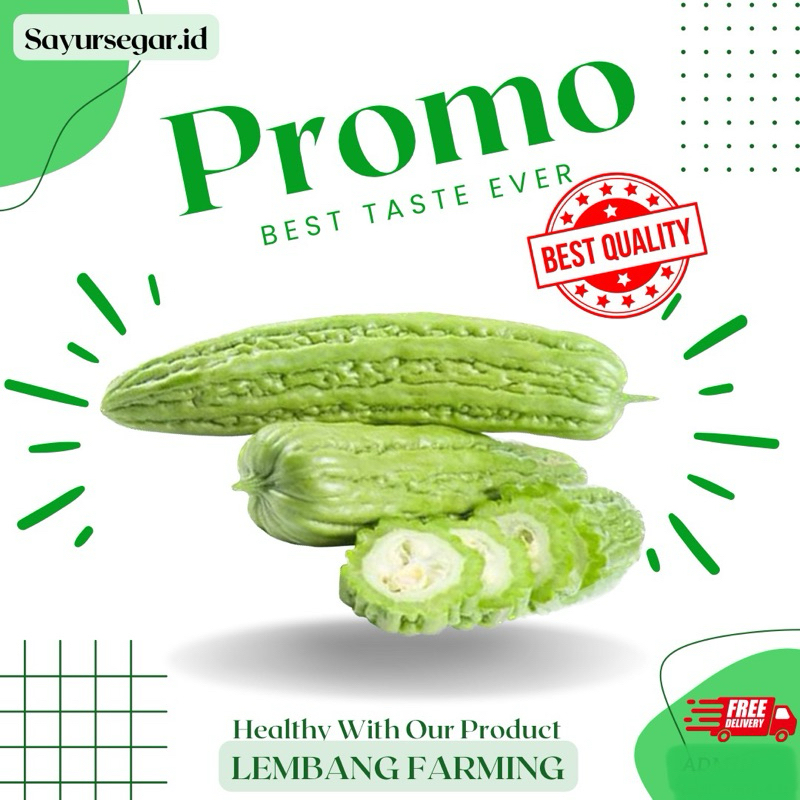 

PROMO!!! pare / paria segar konvensional