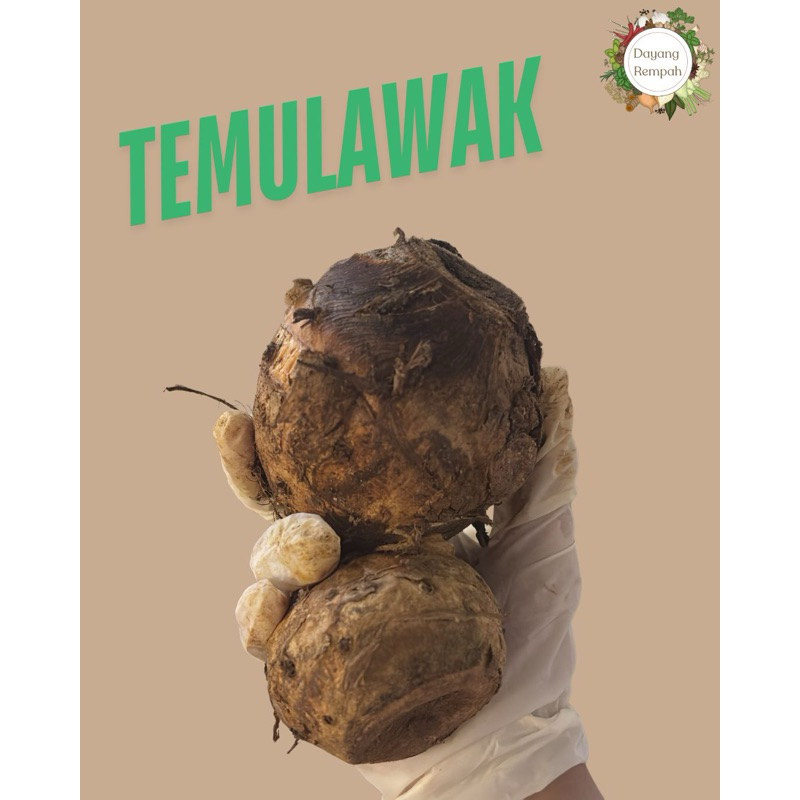 

TEMULAWAK SUPER 1kg / 5kg