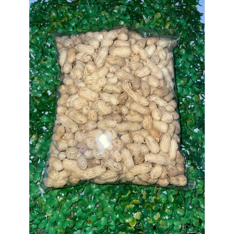 

kacang kulit oven