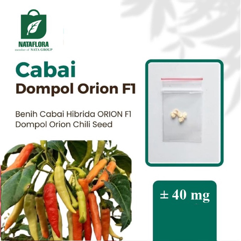 Benih Seribuan - Super Benih Cabai Rawit Dompol Orion