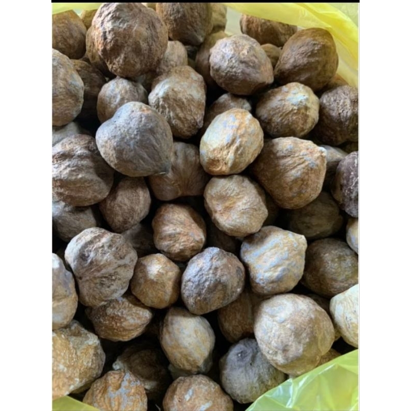 

1kg KEMIRI KULIT KUALITAS SUPER