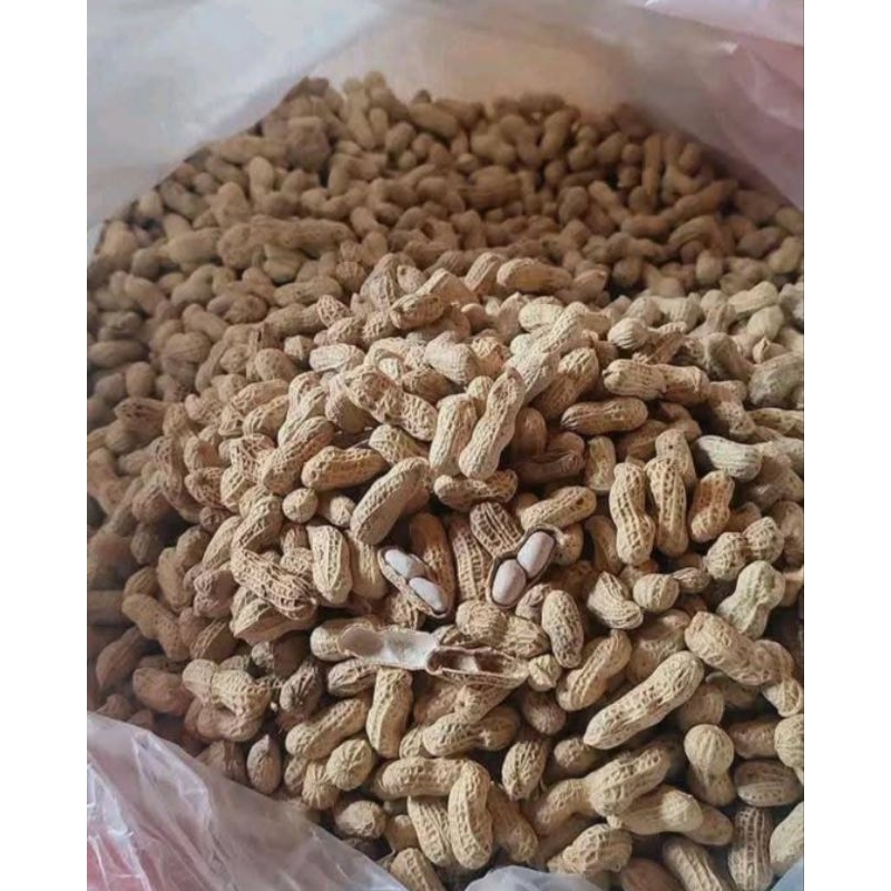 

kacang kulit 500g