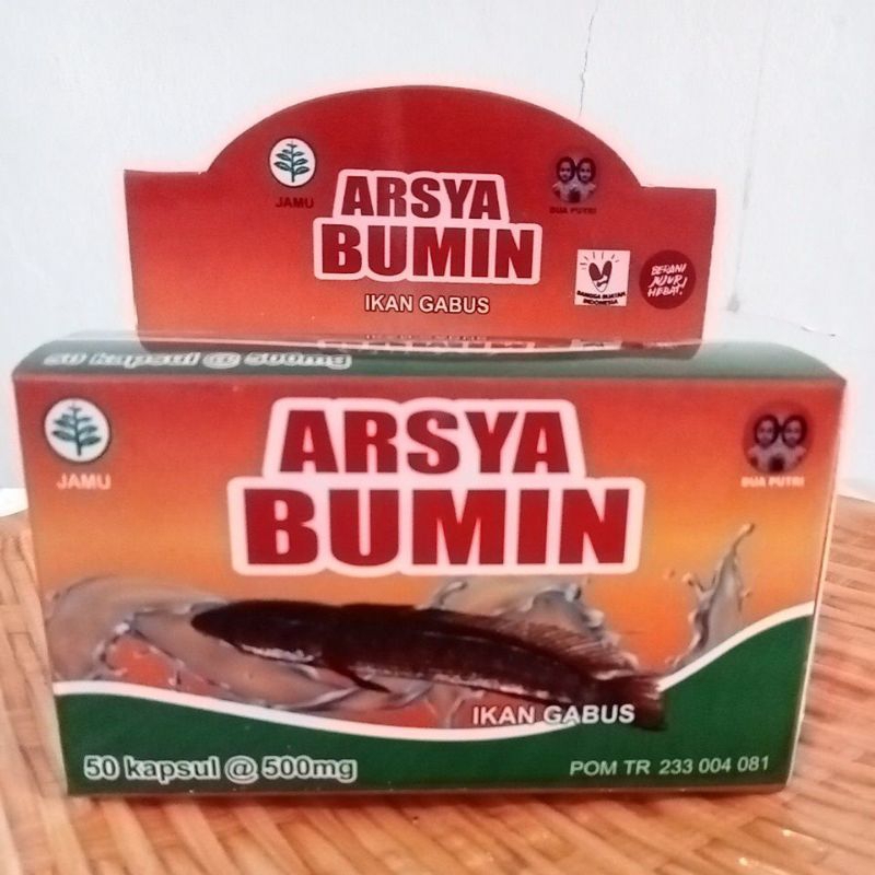 

Arsya Bumin