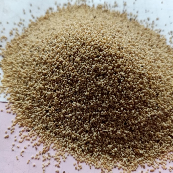 

Biji Kas kas / Poppy Seeds