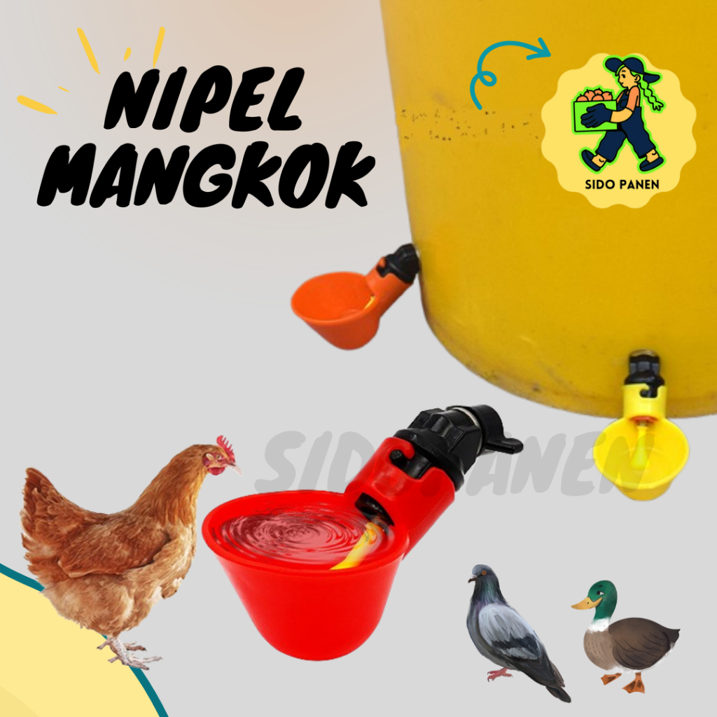 Nipel Nipple Nipple Mangkok minum unggas tipe A10 cocok untuk burung ayam bebek
