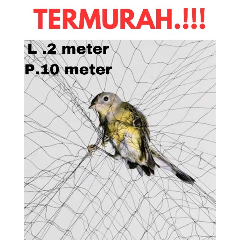 JARING BURUNG PIPIT LUBANG 2 JARI PANJANG 10 M LEBAR ±2 M jaring burung murah jaring burung emprit j