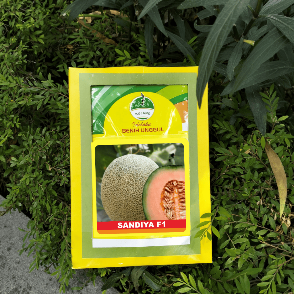 Benih Melon Daging Oren Cap Kujang Sandiya F1 20gr