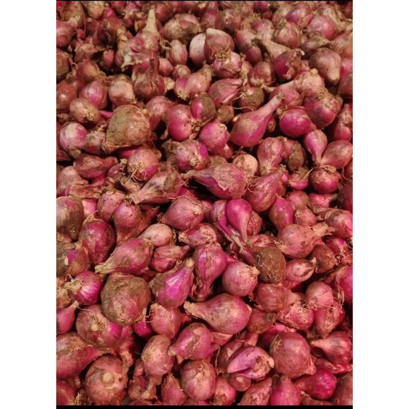 

Bawang merah 1kg