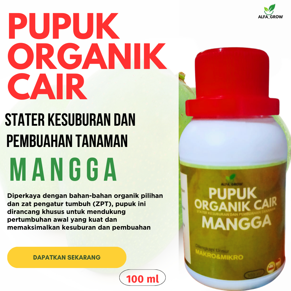 Pupuk organik cair tanaman mangga pupuk mangga biar cepat berbuah pupukuah lebat