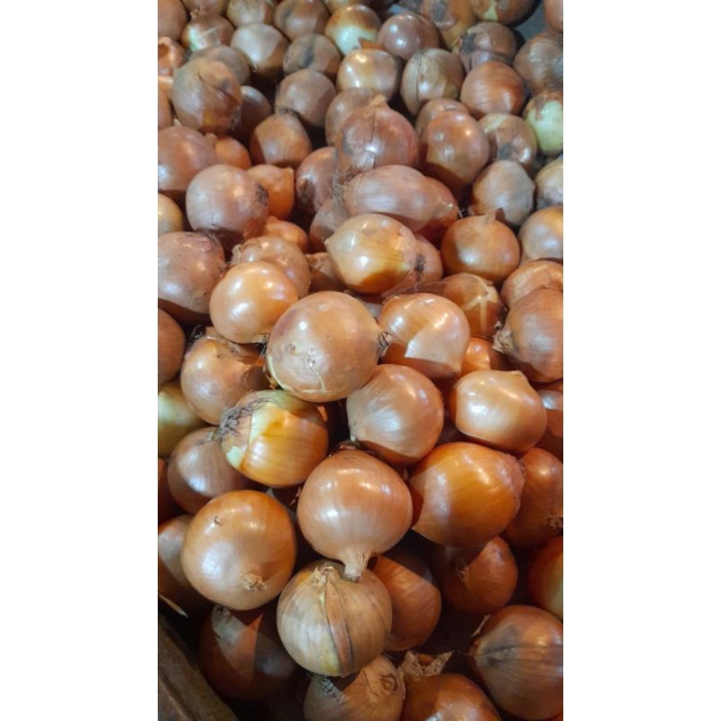 

Bawang bombay super 1kg