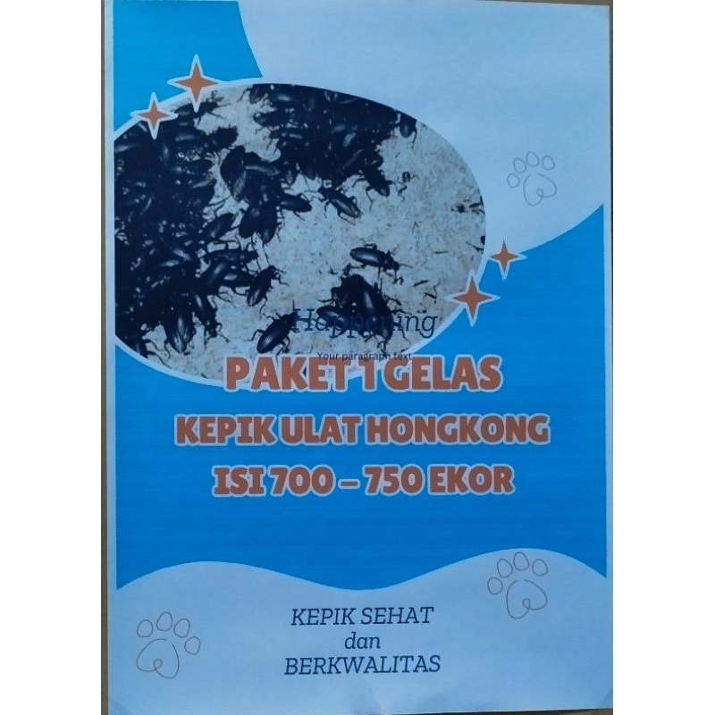 kepik ulat hongkong paket 1 gelas 700ekor