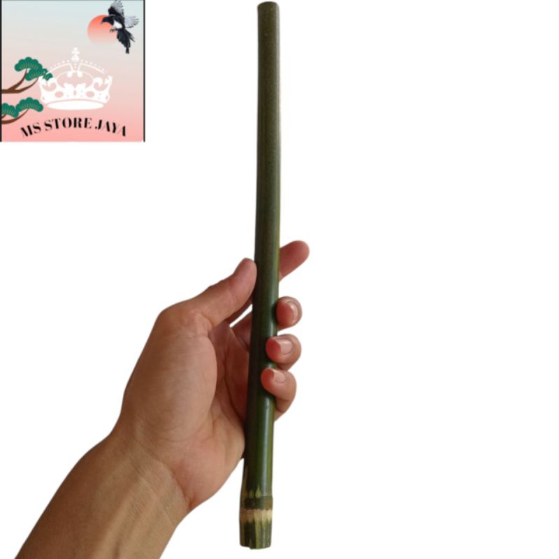 mainan pletokan bambu atau tembakan bambu tradisional