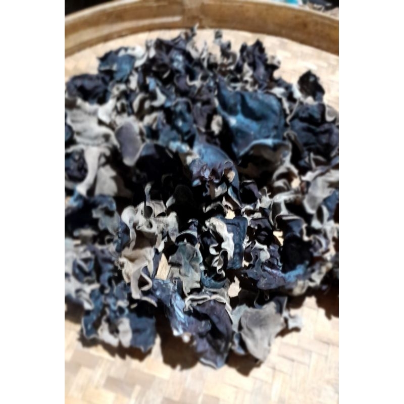 

Jamur Kuping Kering Grade A Super 100gram