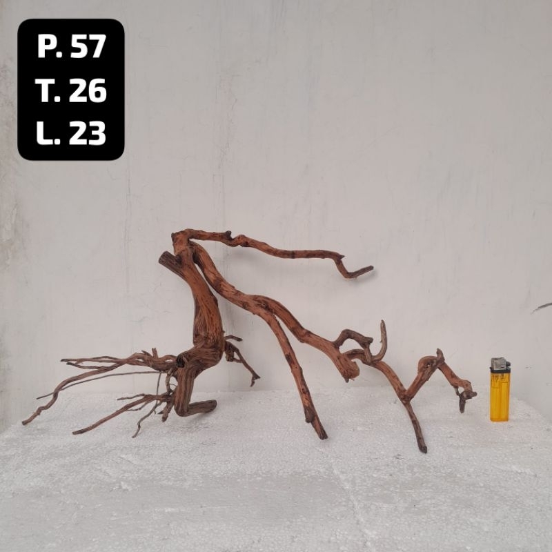 Kayu Aquascape - Kayu Santigi