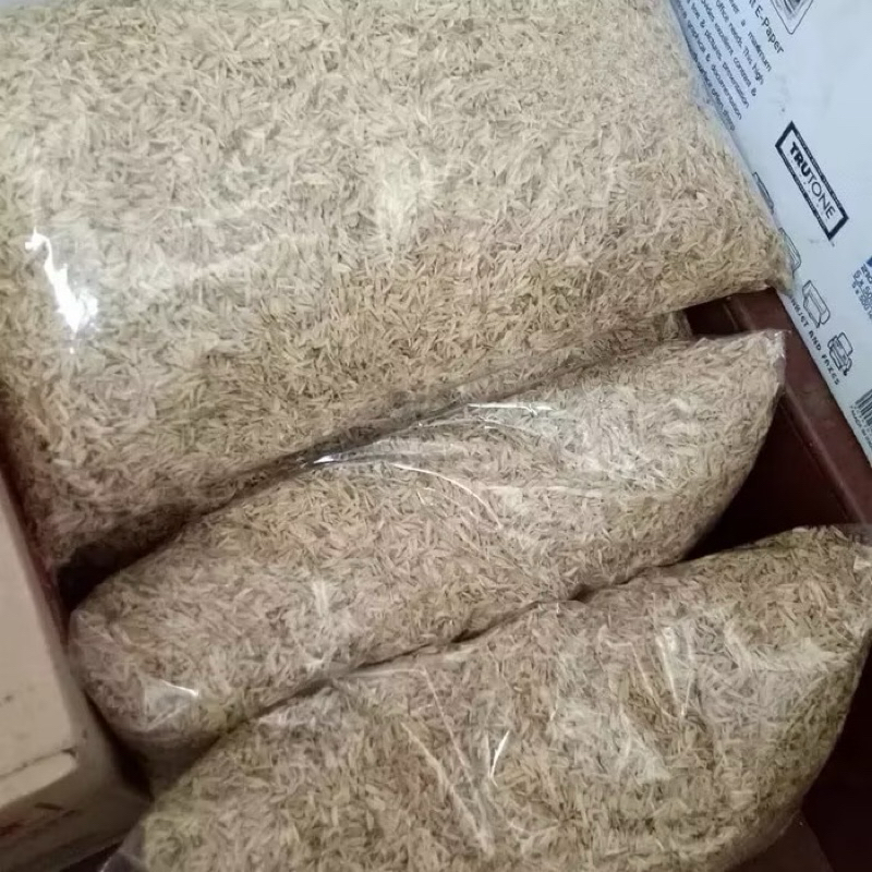 gabah kering untuk tanaman