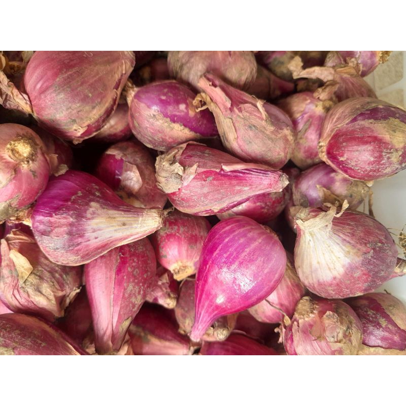 

RB Bawang Merah Brebes Besar/Super 1kg