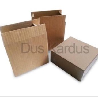 

EXTRA PACKING KARDUS / DUS