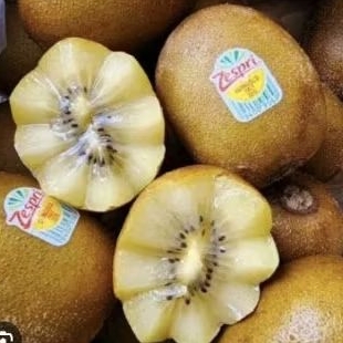 

Buah kiwi gold super Zespri premium manis 1 kg