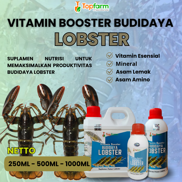 Vitamin Booster Lobster/ Vitamin Budidaya Ternak Lobster/ Vitamin Lobster Cepat Besar/ Vitamin Budid