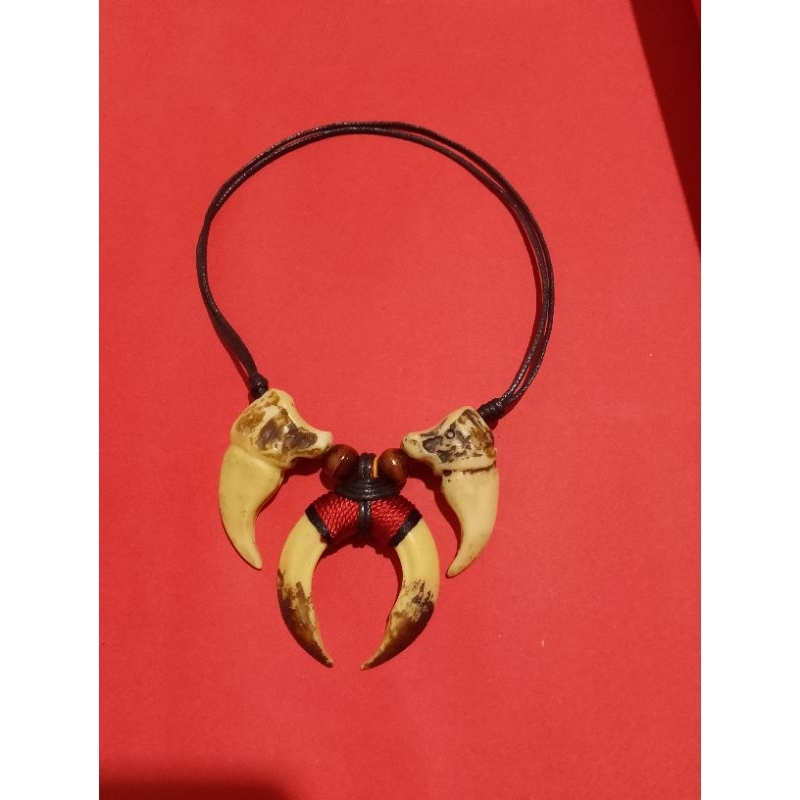 kalung taring kuku macan