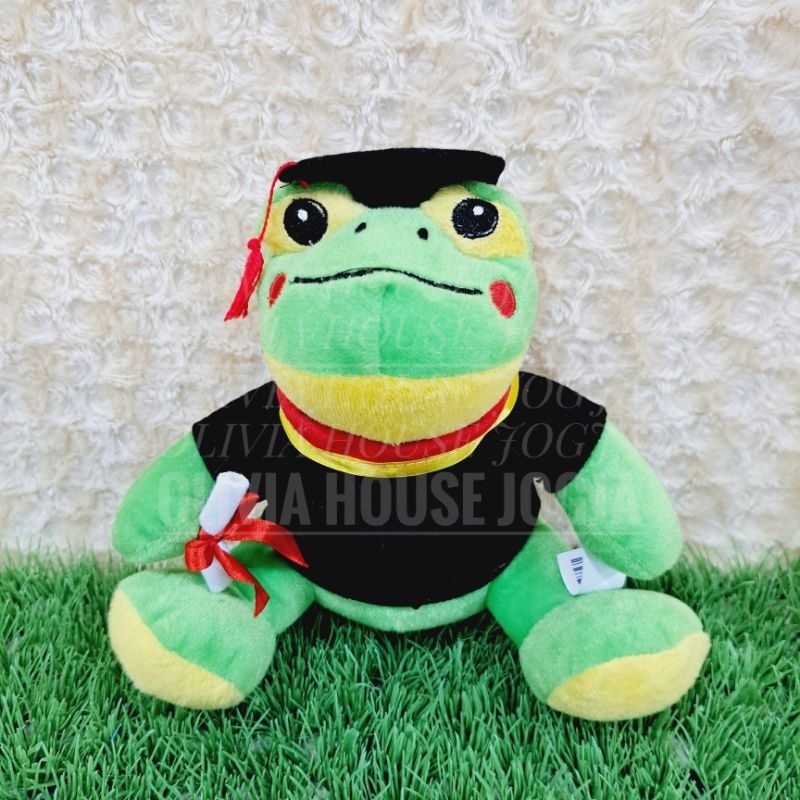 Boneka Katak Wisuda Boneka Wisuda Frog Boneka Wisuda Katak Hijau