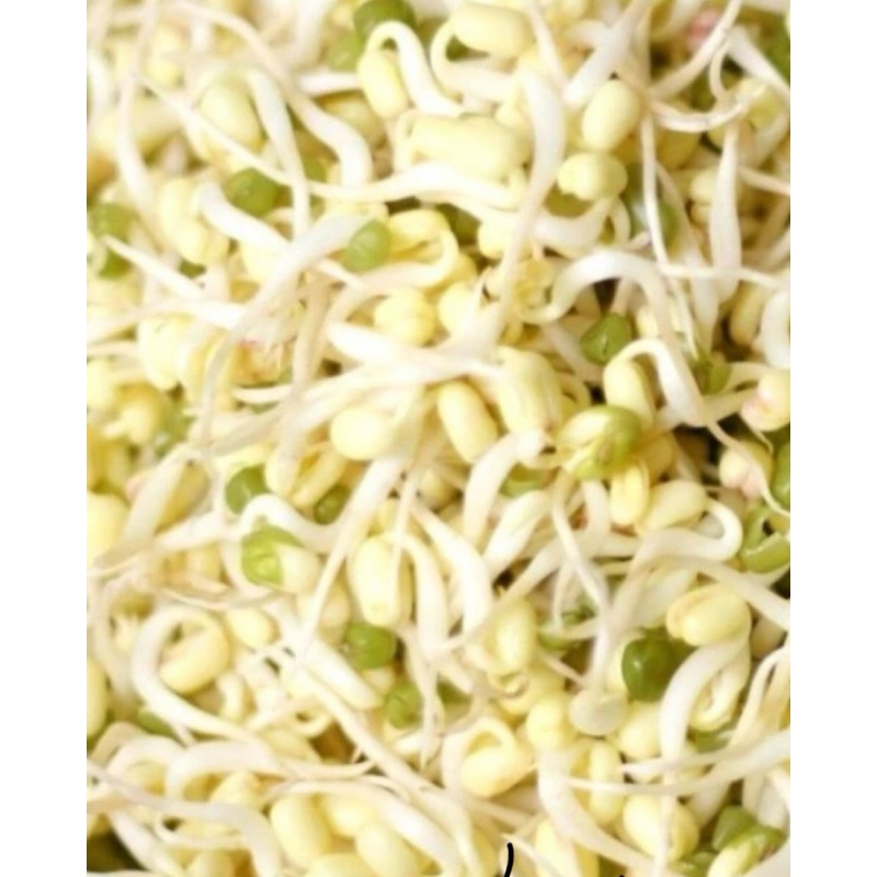 

Cambah Rawon - 250gram