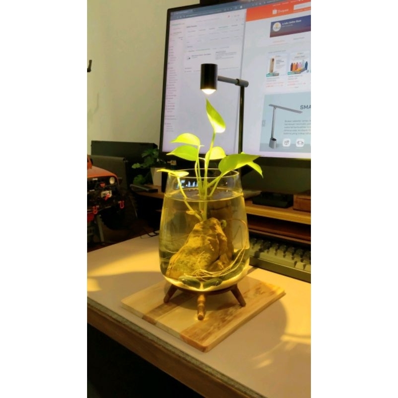 Lampu Standing untuk Soliter, Mini Akuarium, Terarium, Akuarium Bulat